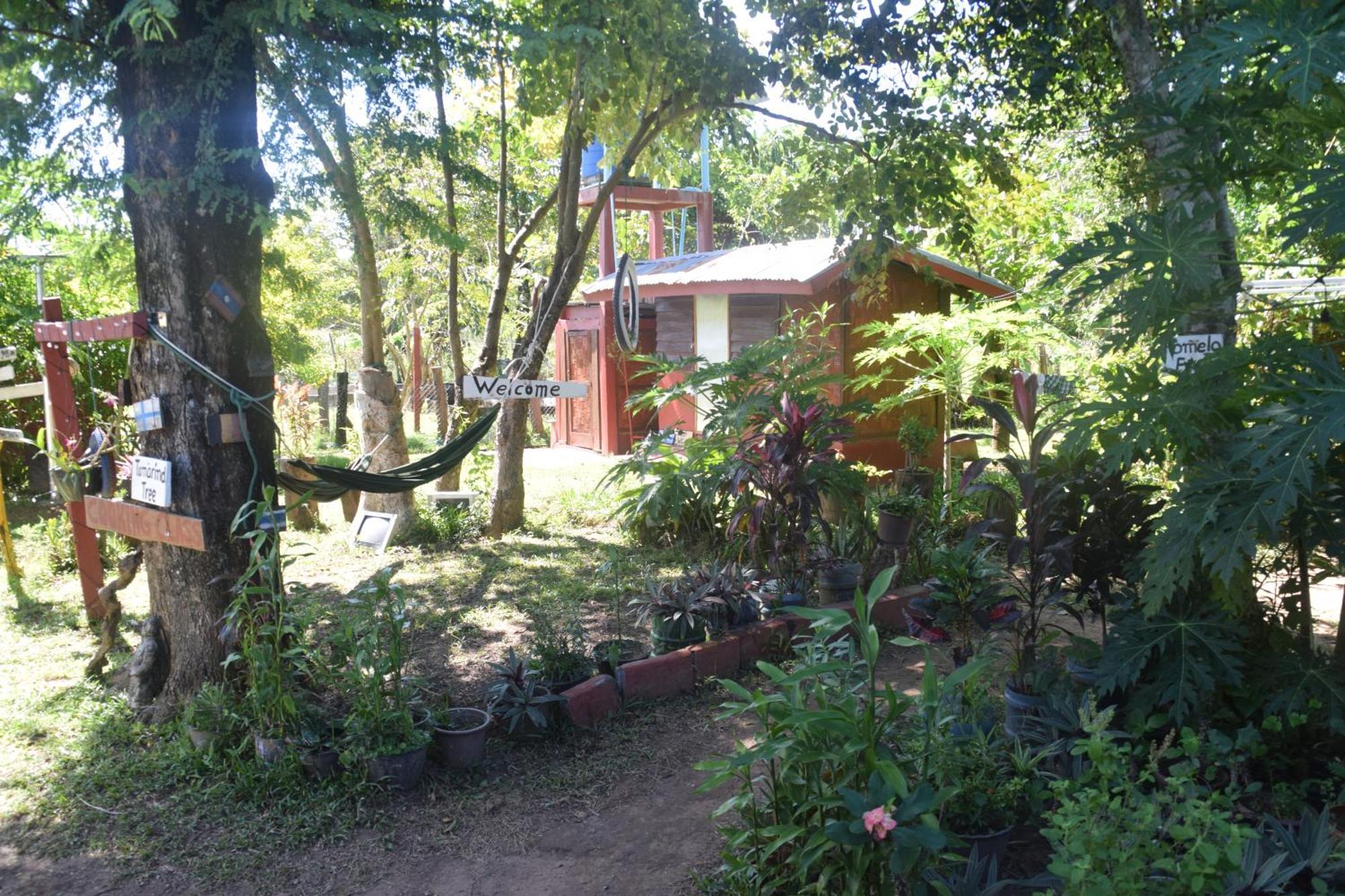Don Som Riverside Guesthouse Extérieur photo
